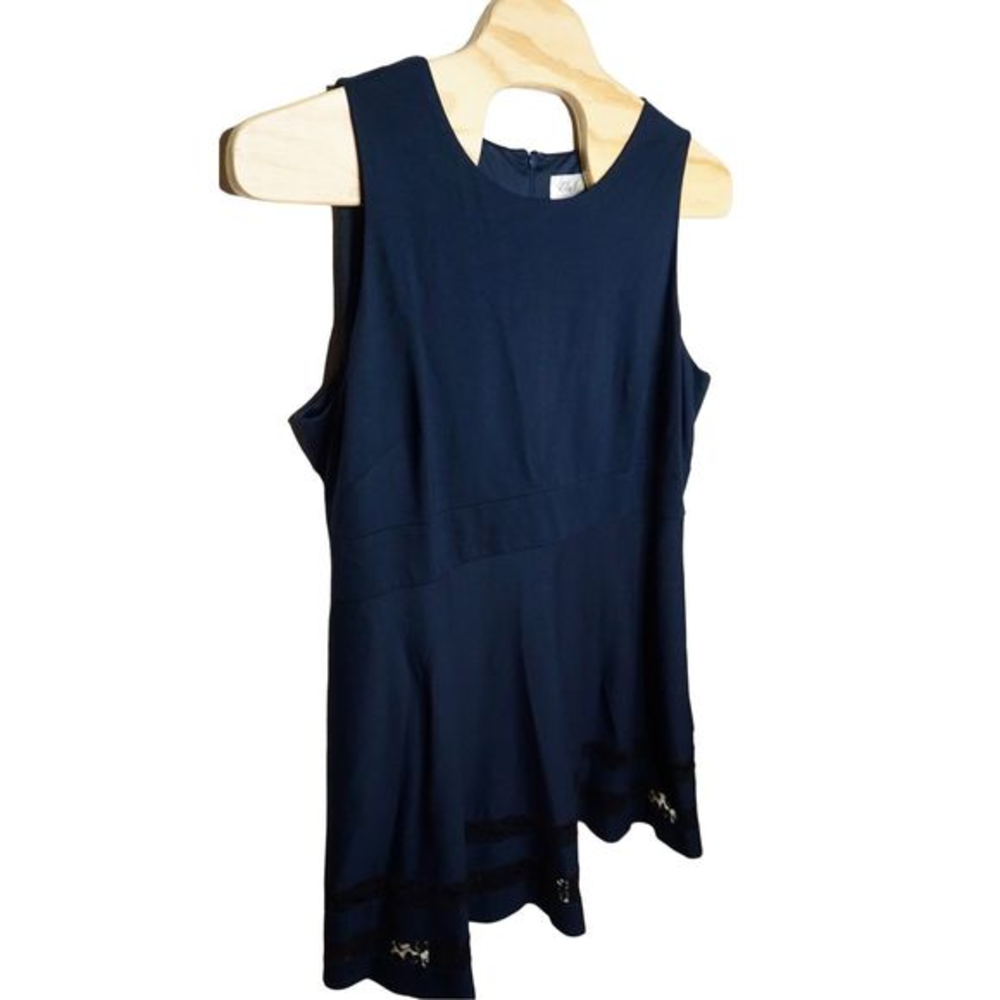 Eliza J Women's Sz‎ 24W Navy Lace Fit & Flare Sleeveless Dress
